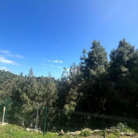 Calahonda Marbella Ground Floor 3 Bedroom Near Golf And